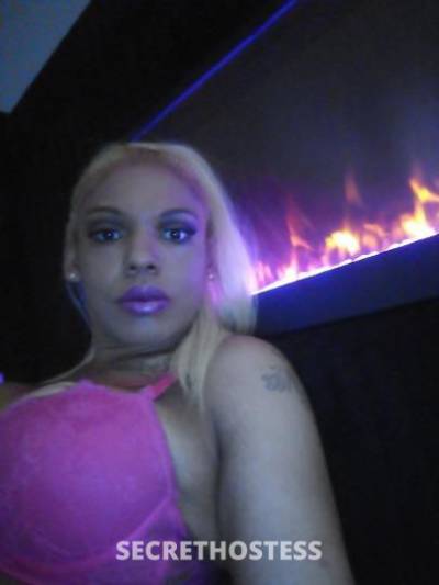 25Yrs Old Escort Chicago IL Image - 2