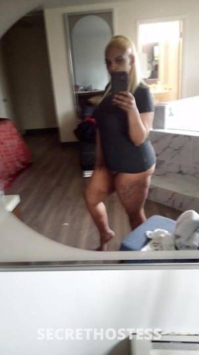 25Yrs Old Escort Chicago IL Image - 3