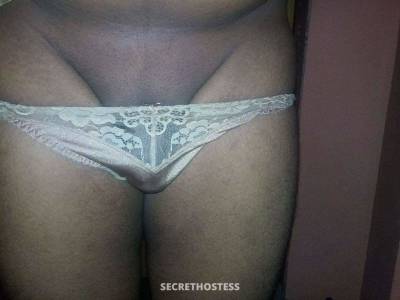 28Yrs Old Escort 175CM Tall Colombo Image - 2