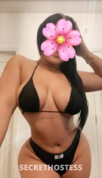 28Yrs Old Escort San Jose CA Image - 3