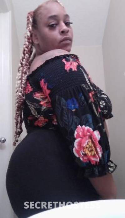 29Yrs Old Escort Tampa FL Image - 2