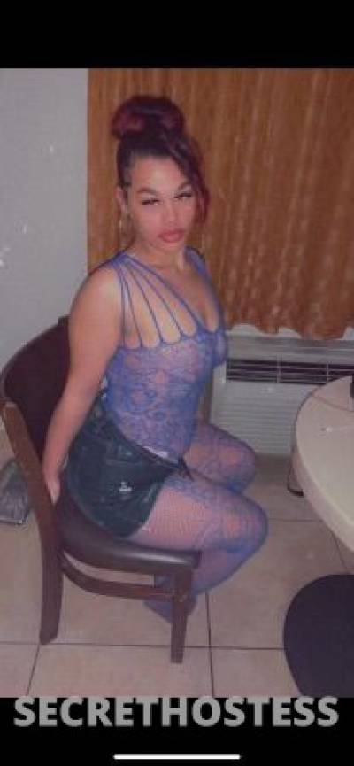 Addictivem 21Yrs Old Escort Miami FL Image - 4