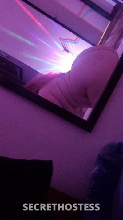 Bunny 23Yrs Old Escort Baltimore MD Image - 0