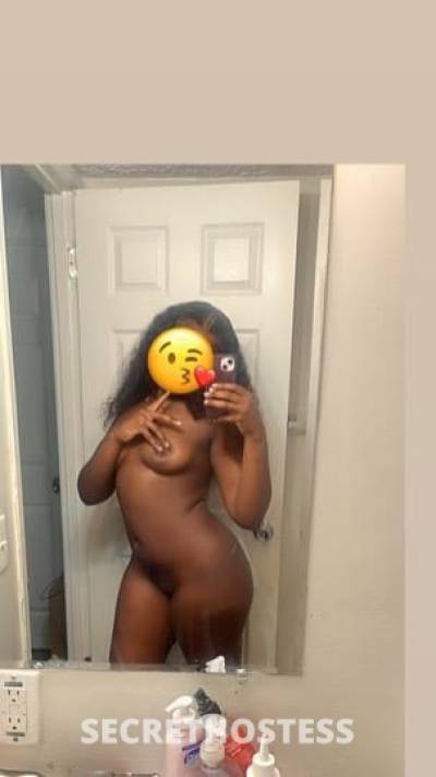 Kash 20Yrs Old Escort Cincinnati OH Image - 0