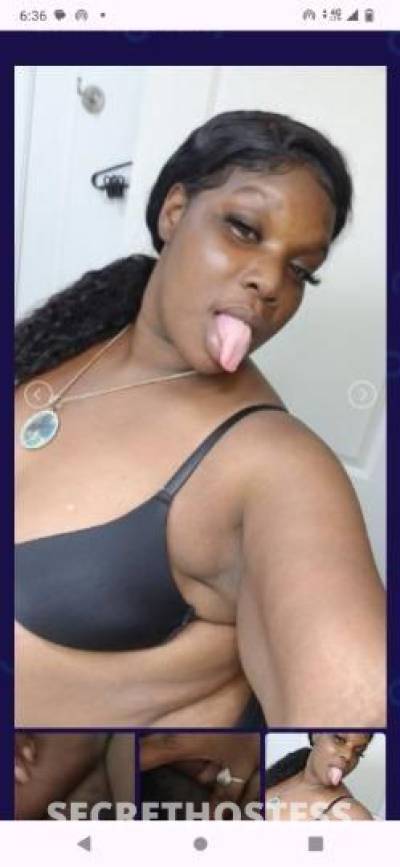 Kikivery 30Yrs Old Escort Tampa FL Image - 1