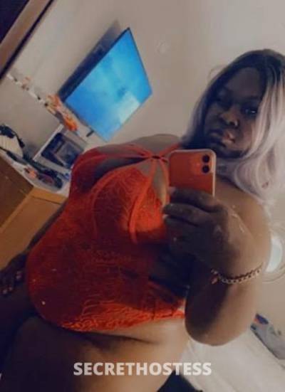 KiraElise? 24Yrs Old Escort Memphis TN Image - 1