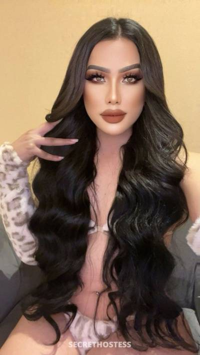 ⚜️⚜️lucy_top_both⚜️⚜️, Transsexual escort in Dubai