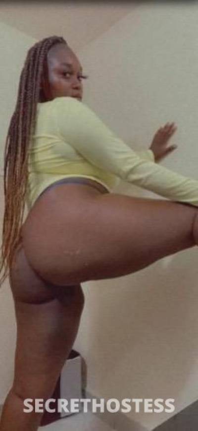 Miami 22Yrs Old Escort Dallas TX Image - 0