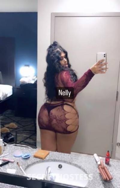 Nina 26Yrs Old Escort Memphis TN Image - 2