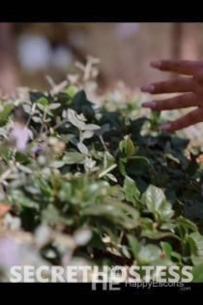 Noa 25Yrs Old Escort Barcelona Image - 2