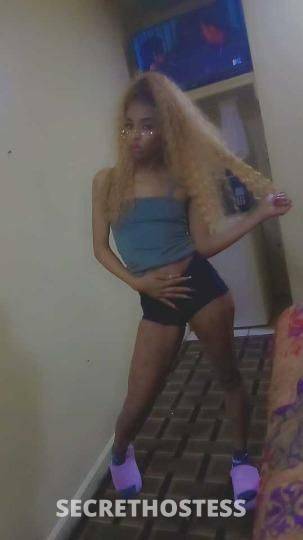 27Yrs Old Escort North Mississippi MS Image - 2