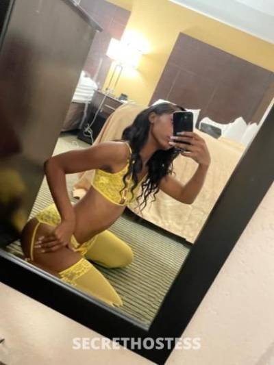 19Yrs Old Escort Houston TX Image - 1