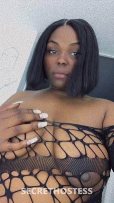 24Yrs Old Escort Tampa FL Image - 0