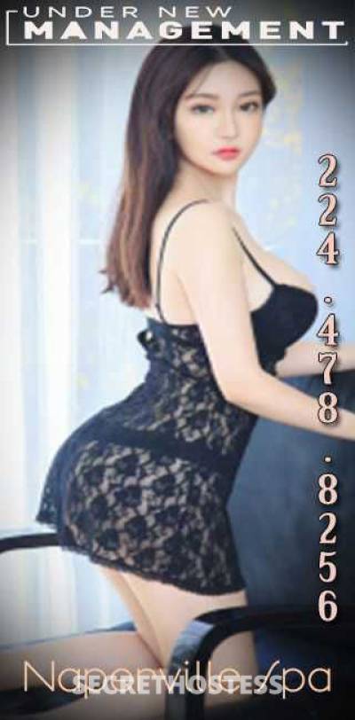 25Yrs Old Escort Chicago IL Image - 3