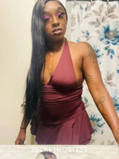 Currency 25Yrs Old Escort Oakland CA Image - 2