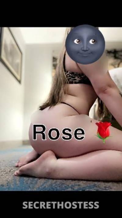 Rosie 21Yrs Old Escort Little Rock AR Image - 1