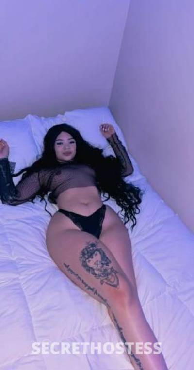 kamy 24Yrs Old Escort Denver CO Image - 2