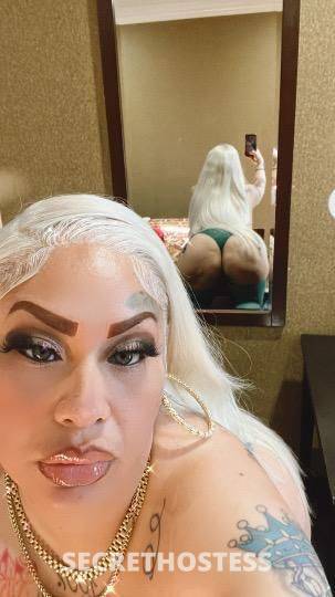 Kandy 27Yrs Old Escort Concord CA Image - 0