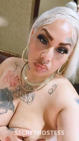 Kandy 27Yrs Old Escort Concord CA Image - 2