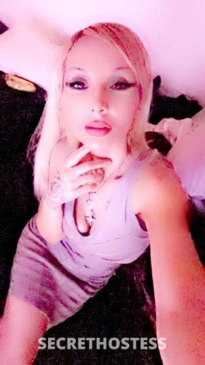 💜GorgeousSpanishBarbie🩷 29Yrs Old Escort Indianapolis IN Image - 2