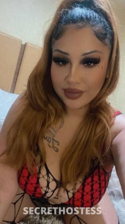 24Yrs Old Escort San Jose CA Image - 1