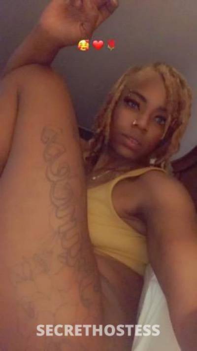 Caramel 24Yrs Old Escort Tampa FL Image - 1