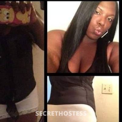 CocoaDoll 28Yrs Old Escort Asheville NC Image - 1