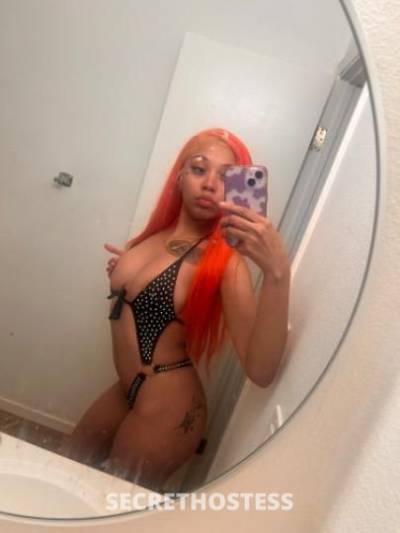 ExoticHoney 20Yrs Old Escort San Diego CA Image - 1