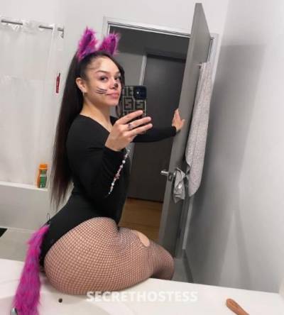 ‼incall only‼just call or text in Concord CA