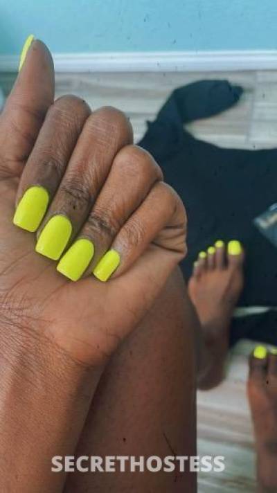 23 year old Escort in San Fernando Valley CA ..Hot Ebony Girl Ready to Play ..I'm Available For 