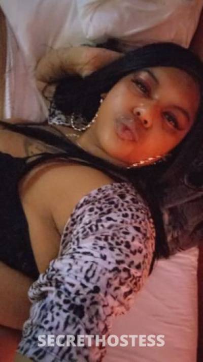 Lisa 27Yrs Old Escort Northern Virginia DC Image - 0