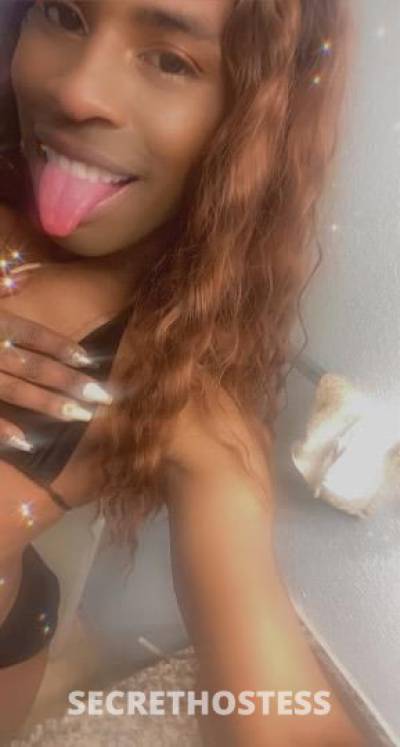 Ronnie 24Yrs Old Escort Minneapolis MN Image - 2