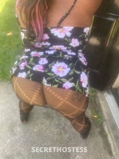 Shy 29Yrs Old Escort Augusta GA Image - 1