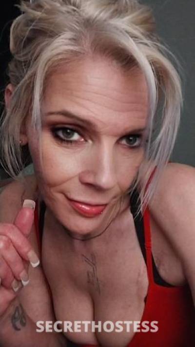 Stacy 40Yrs Old Escort Saint Louis MO Image - 0