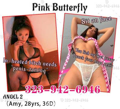 23Yrs Old Escort San Jose CA Image - 3