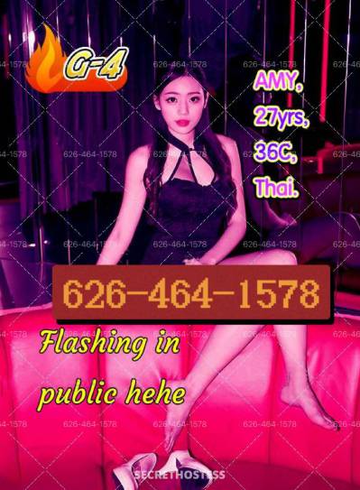 23 Year Old Chinese Escort Dallas TX - Image 5
