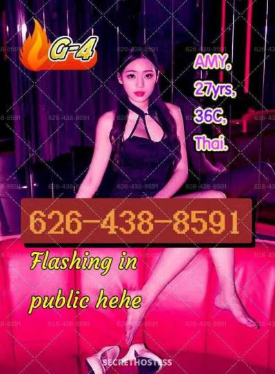 24 Year Old Chinese Escort San Jose CA - Image 5