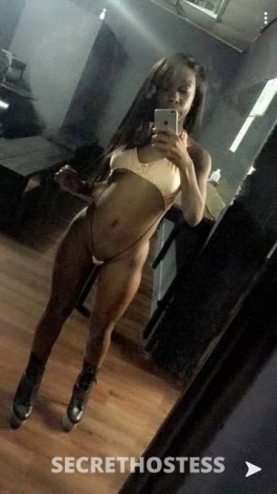 24Yrs Old Escort Houston TX Image - 0