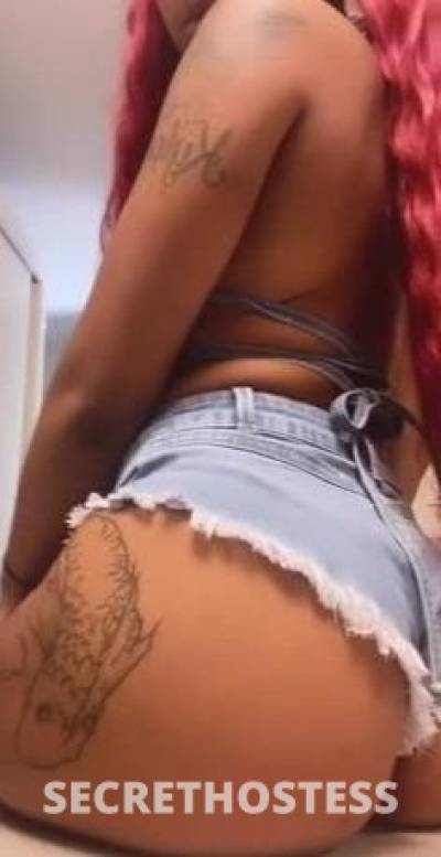 25Yrs Old Escort Pensacola FL Image - 3