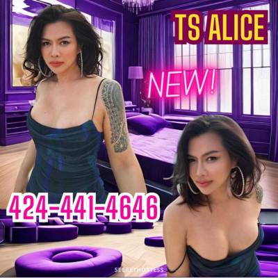 . ❤️❤️❤️alice ❤️❤️❤️  . *( 1-7 only in Honolulu HI