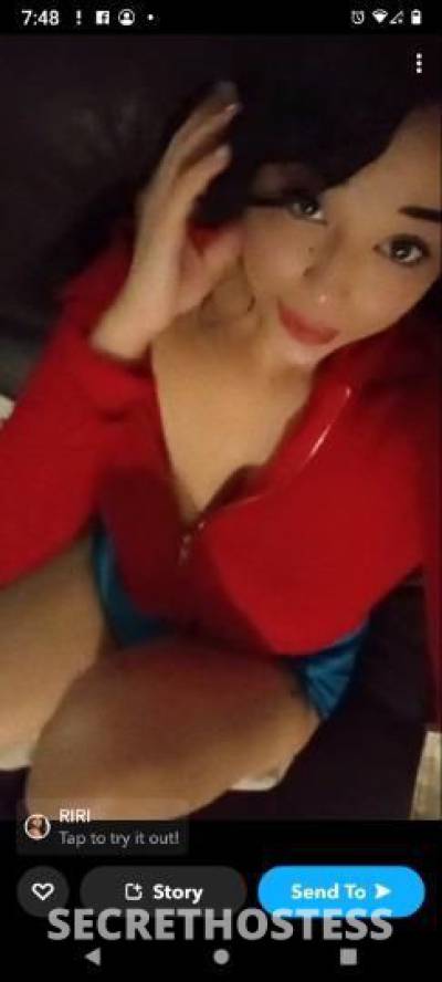 MariaMartinez 25Yrs Old Escort Corpus Christi TX Image - 1