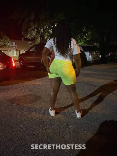27 year old Escort in San Antonio TX Up For A Challenge