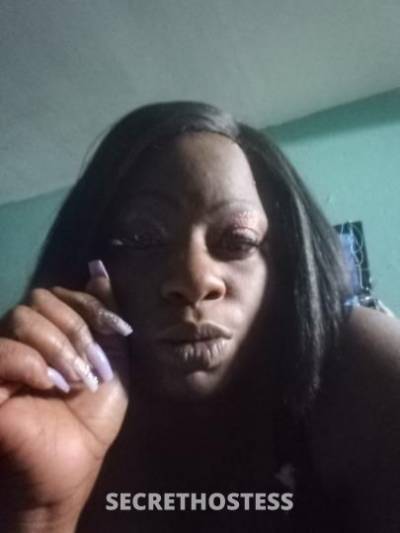 sharieselachelle 31Yrs Old Escort Oklahoma City OK Image - 0