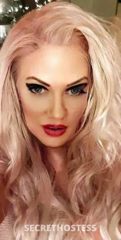 xxxx-xxx-xxx One Dumb Blonde- Wants Your Cash MY SAN  in San Fernando Valley CA