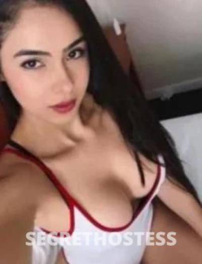 Diana 25Yrs Old Escort Size 8 Melbourne Image - 2