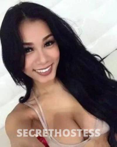 22Yrs Old Escort Size 8 165CM Tall Townsville Image - 4