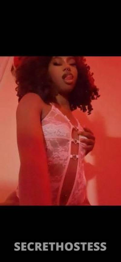 23 year old Escort in Palm Springs CA ..№➊ SeXy. Ebony BoMbShELL ..% ➜RARE. Petite PRINCESS