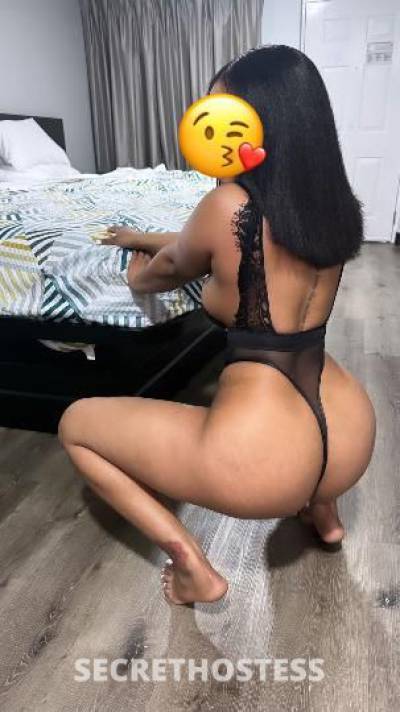 28Yrs Old Escort Tampa FL Image - 0