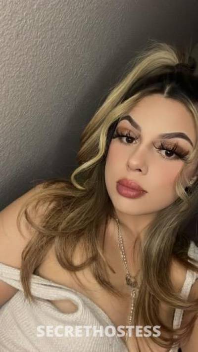 23 year old Mexican Escort in Palm Springs CA BACK IN TOWN . Mexican, Armenian Beauty