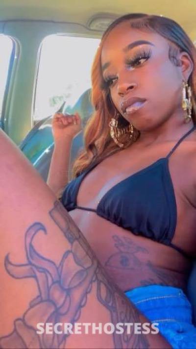 BettyBoop 20Yrs Old Escort Concord CA Image - 0